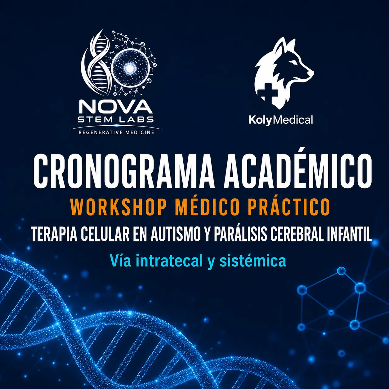 Portada del cronograma académico del workshop